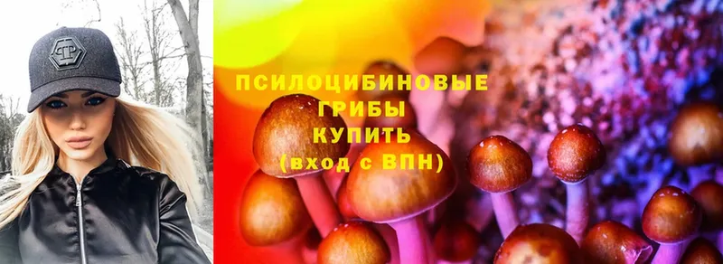 Галлюциногенные грибы Magic Shrooms  shop состав  Балашиха 