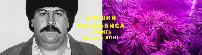 Бошки Шишки LSD WEED  купить  сайты  Балашиха 